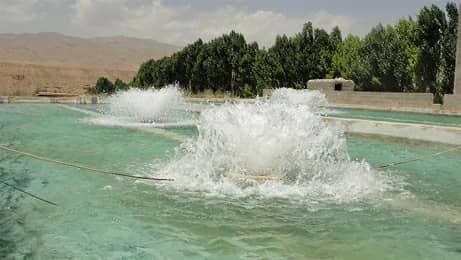 دوره آموزشی پرورش ماهی در استخرهای ذخیره آب کشاورزی در شهرستان آبیک برگزار شد