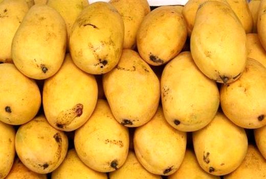 راه اندازی چهارمین مرکز قرنطینه گیاهی سیستان و بلوچستان در مرز ریمدان
