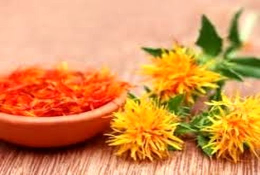 تولید هزارتن گلرنگ در مرودشت