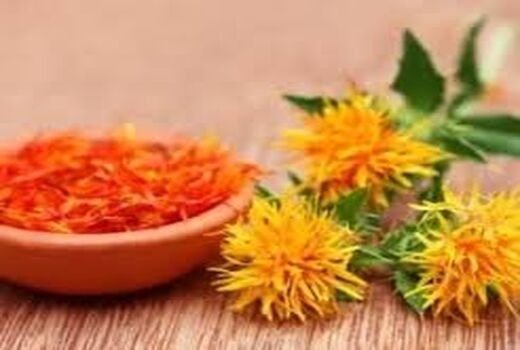 تولید هزارتن گلرنگ در مرودشت