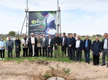 پویش ملی درختکاری سرو ایران در تبریز برگزار شد