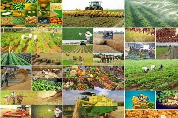 تحقق توسعه کشاورزی صنعتی با  توانمندسازی نظام‌های بهره‌برداری