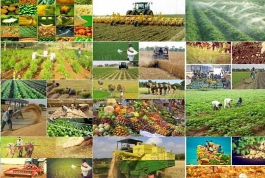 تحقق توسعه کشاورزی صنعتی با  توانمندسازی نظام‌های بهره‌برداری