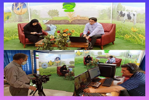 برگزاری دوره آموزش ضمن خدمت مدیریت تکثیر و پرورش ماهیان گرم آبی