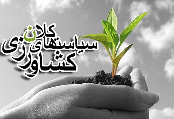 ضرورت بازنگری در سیاستهای کلان کشاورزی/ از ظرفیت علمی استانها استفاده شود