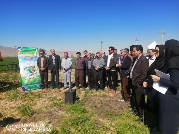 4 مرکز جهاد کشاورزی کازرون میزبان کاروان ترویج
