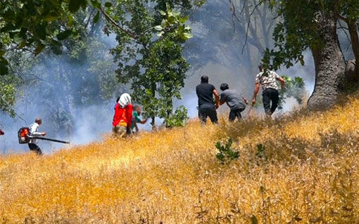 اطفا کامل آتش‌سوزی در جنگلهای ارسباران در منطقه خداآفرین 