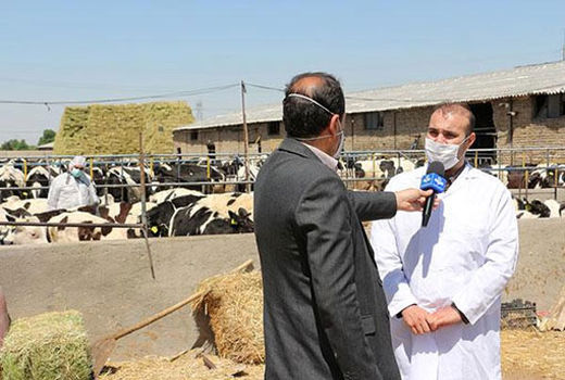 واکسن مورد نیاز بیماری تب برفکی به مقدار لازم تامین شده است