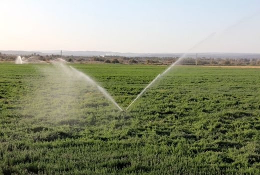  ایجاد  ۳۰ هزار هکتار آبیاری تحت فشار در استان ایلام