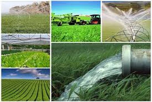 سهم اشتغال زنجان در بخش کشاورزی ۳۳ درصد است