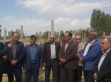 بازدید رئیس سازمان جهاد کشاورزی آذربایجان غربی از باغات انگور  میاندوآب