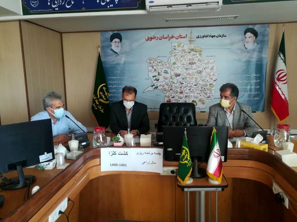 برگزاری وبینار برنامه ریزی کشت کلزا در سال زراعی جاری