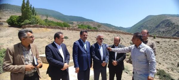 تولید ۲۵۰ میلیون اصله نهال، دستاورد سازمان منابع طبیعی کشور