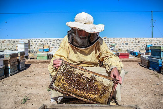 یمن، سوریه و عربستان عسل ایران را نمی‌خرند