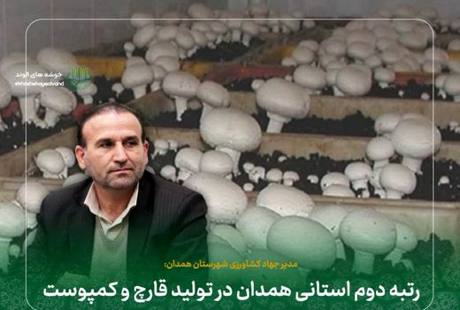 رتبه دوم استانی همدان در تولید قارچ و کمپوست 