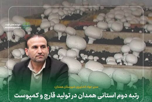 رتبه دوم استانی همدان در تولید قارچ و کمپوست 