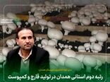 رتبه دوم استانی همدان در تولید قارچ و کمپوست 