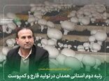 رتبه دوم استانی همدان در تولید قارچ و کمپوست 