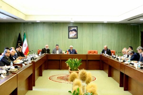ضرورت دارا بودن مرغ لاین برای تامین پروتئین و امنیت غذایی کشور 