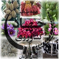 دو طرح گلخانه و شرکت تعاونی دامداری در شهرستان انار کلنگ‌زنی شد