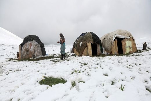 نجات جان یک نوزاد و دو کودک عشایری گرفتار در برف در اهر / ۱۰۰۰ راس دام  تلف شد