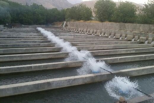 تحویل ۲۰ دستگاه اسپلش مزارع پرورش ماهی شهرستان قزوین