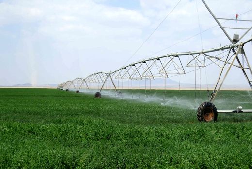  262 میلیون متر مکعب آب در سیستان و بلوچستان صرفه جویی شد