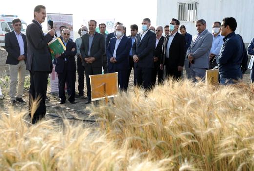 حمایت از تحقیقات، پژوهش و فناوری اولویت اول وزارت جهاد کشاورزی