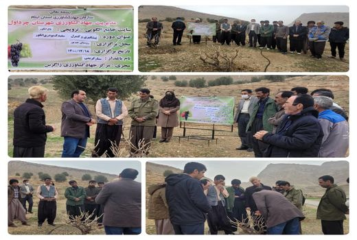 برگزاری کارگاه آموزشی پیشگیری و کنترل سفیدک پودری انگور