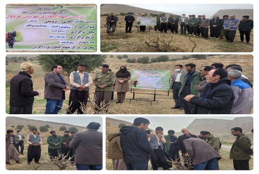 برگزاری کارگاه آموزشی پیشگیری و کنترل سفیدک پودری انگور