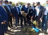 بازدید استاندار کرمان از مزارع خسارت دیده شهرستان عنبرآباد