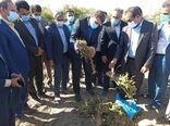 بازدید استاندار کرمان از مزارع خسارت دیده شهرستان عنبرآباد