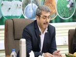 تولید برنج سالم در 100 هزار هکتار شالیزار مازندران حمایت می‌شود
