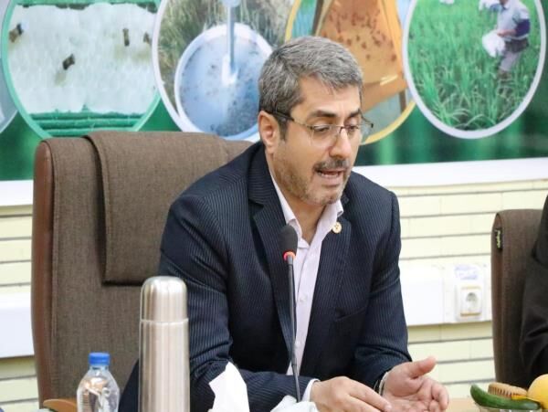 تولید برنج سالم در 100 هزار هکتار شالیزار مازندران حمایت می‌شود