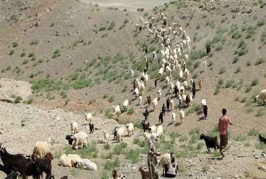 پیشنهاد تخصیص اعتبار ۲۰۰ میلیارد ریال  برای کاهش اثر خشکسالی