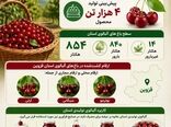 طعم ناب طبیعت از باغ‌های استان قزوین