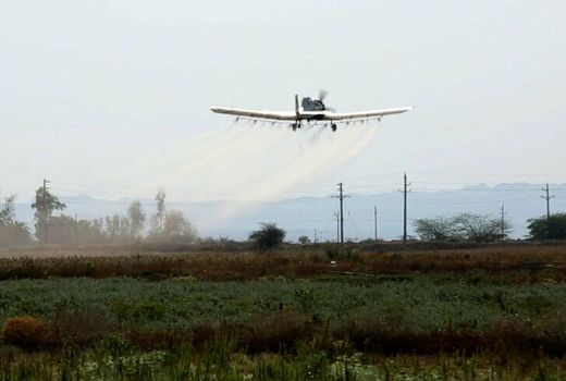 افتتاح رسمی سامانه مانیتورینگ آفت‌کش‌ها