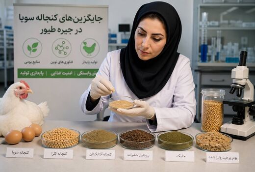 جایگزین‌های بومی کنجاله سویا گامی در مسیر کاهش وابستگی و پایداری صنعت طیور