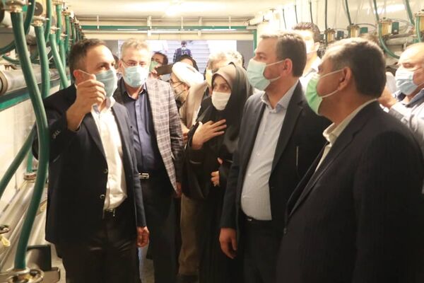 بنادر کشور با انباشت نهاده‌های دامی روبرو هستند