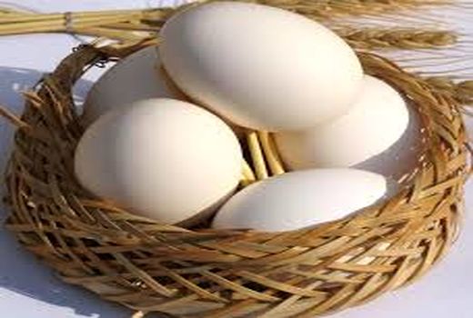 قیمت مصوب تخم مرغ درب مرغداری 9500 تومان و سطح عرضه 20 هزار تومان