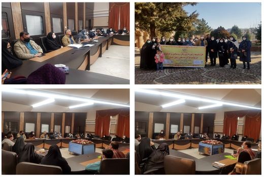 ۳۰ زن روستایی در قزوین با پرورش زنبور عسل آشنا شدند