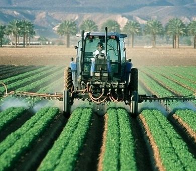 ایلام تا پایان برنامه هفتم به اوج شکوفایی کشاورزی می‌رسد