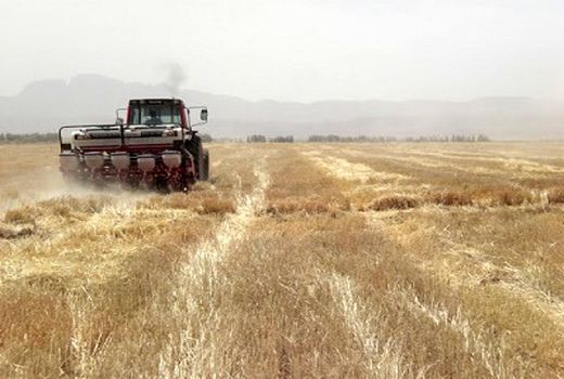 کشت مستقیم پنبه در شهرستان جهرم 