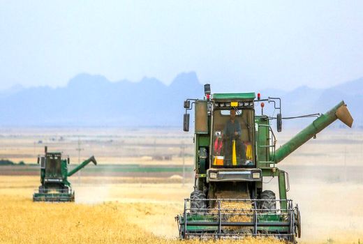 بازار محصولات کشاورزی نیازمند نظام هدفمند و حمایتی است