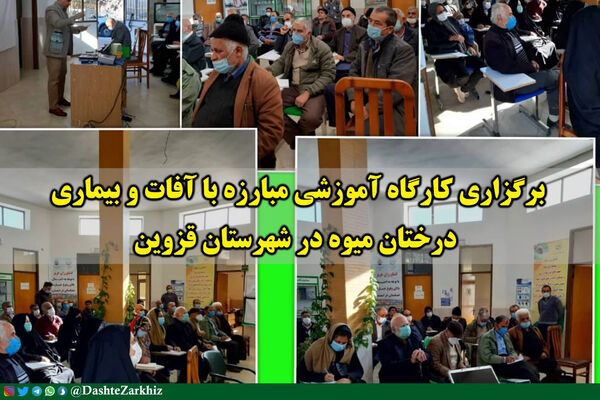 برگزاری کارگاه آموزشی مبارزه با آفات و بیماری‌های درختان میوه در شهرستان قزوین