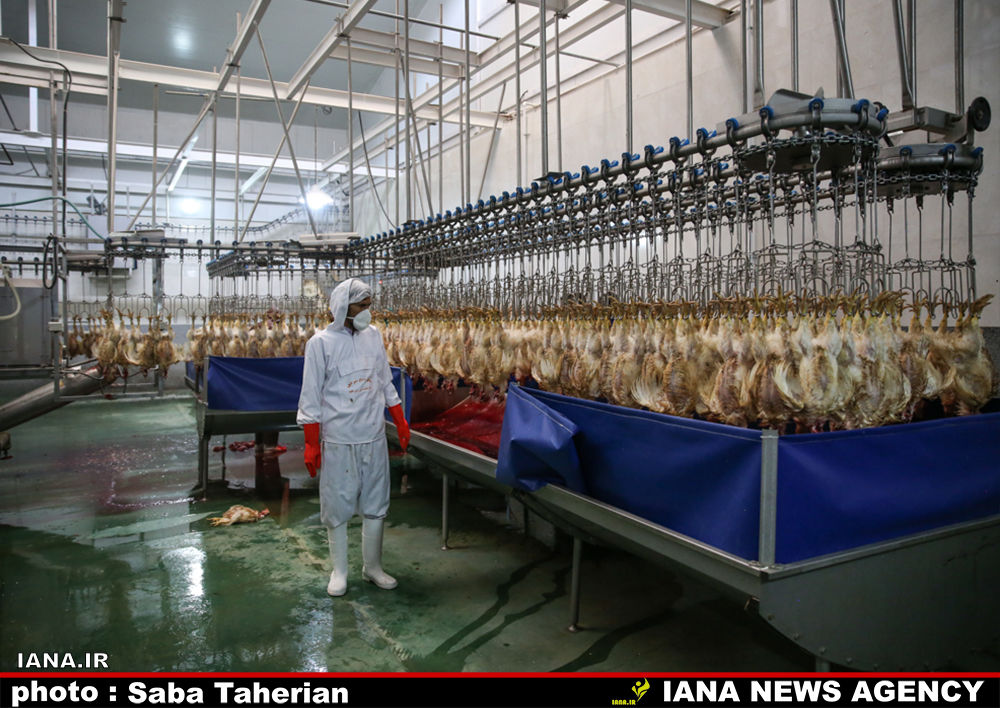 وزیر در اصفهان