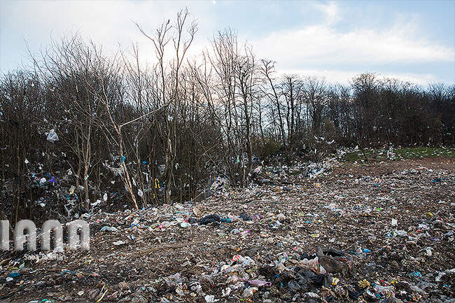زباله دانی به وسعت یک جنگل