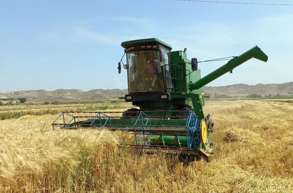 آغاز برداشت جو از شهرستان خداآفرین