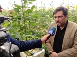 بهره‌برداری 45 پروژه وطرح کشاورزی در هفته دولت در استان چهارمحال وبختیاری 