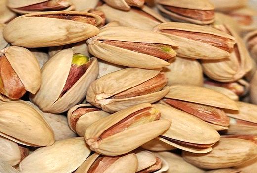 ناتوانی وزارت خارجه در حمایت از تاجران پسته 